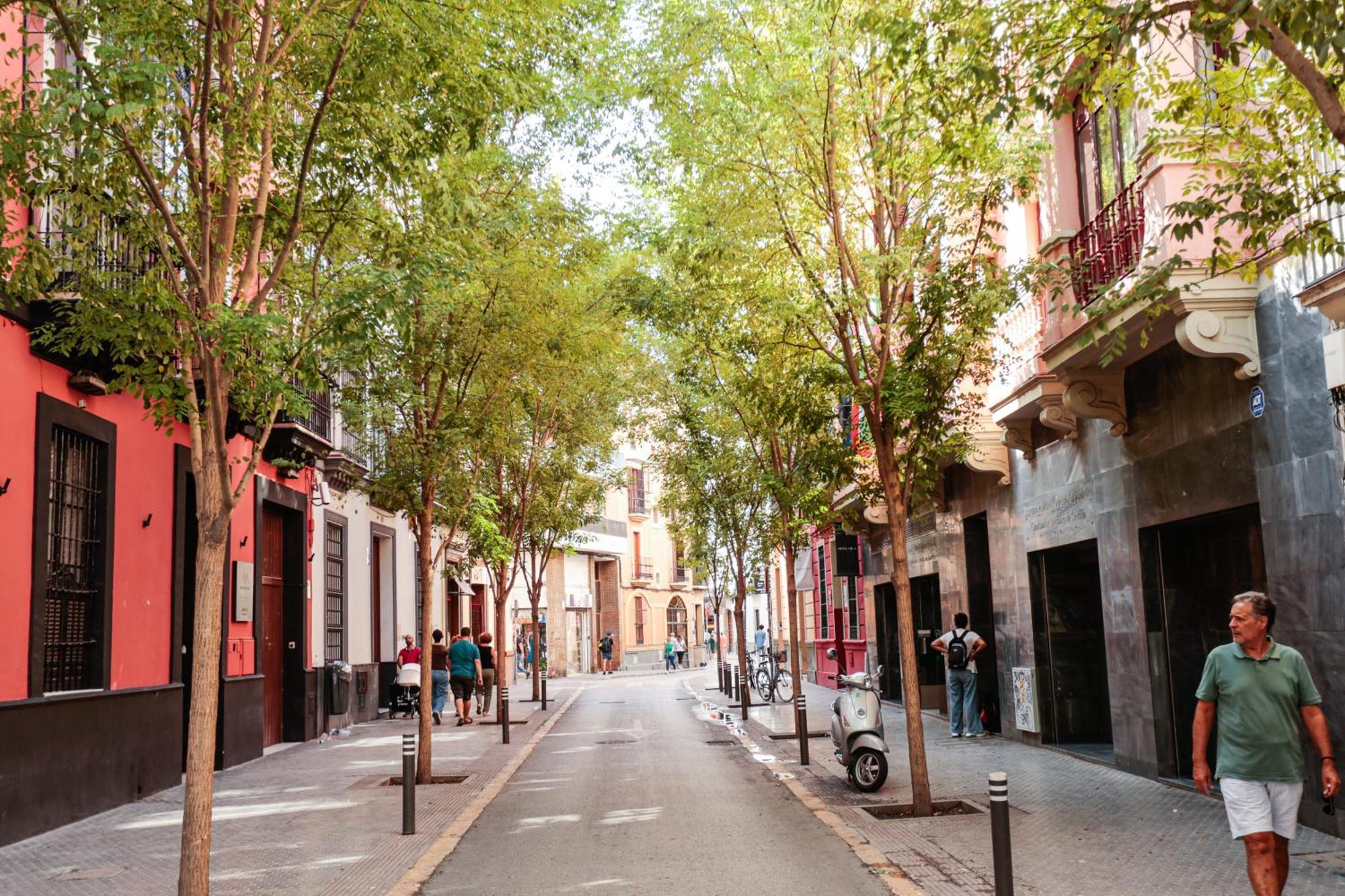 Monkeys Apartments Cervantes Sevilla Kültér fotó
